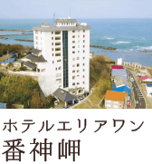 ホテルエリアワン番神岬